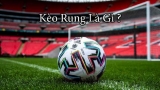 Kèo rung là gì? Hướng dẫn cách chơi kèo rung cho người mới