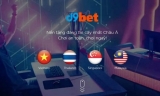 Thể thao D9Bet và tổng quan thông tin bạn cần biết